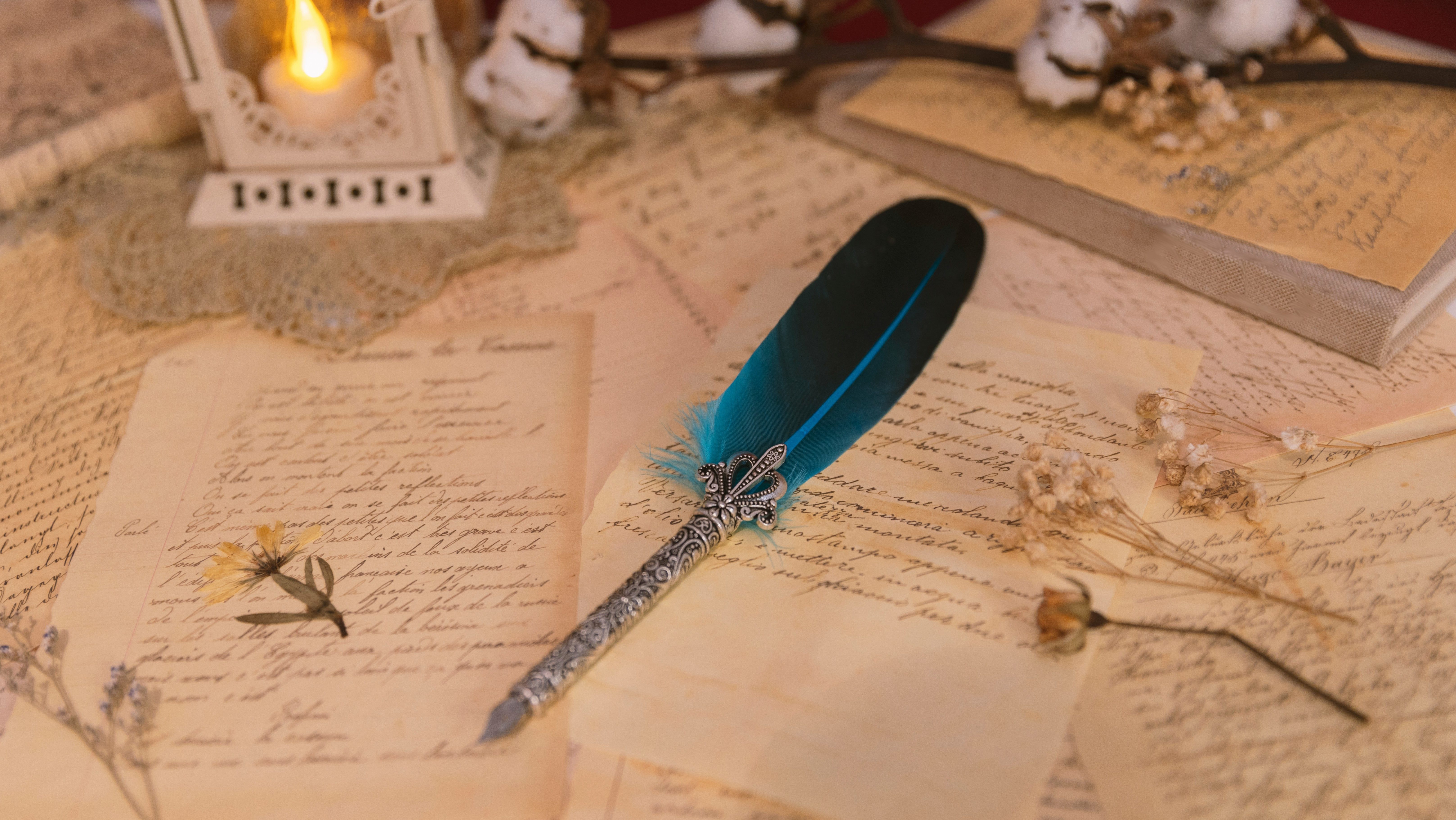 plume-relecture-edition